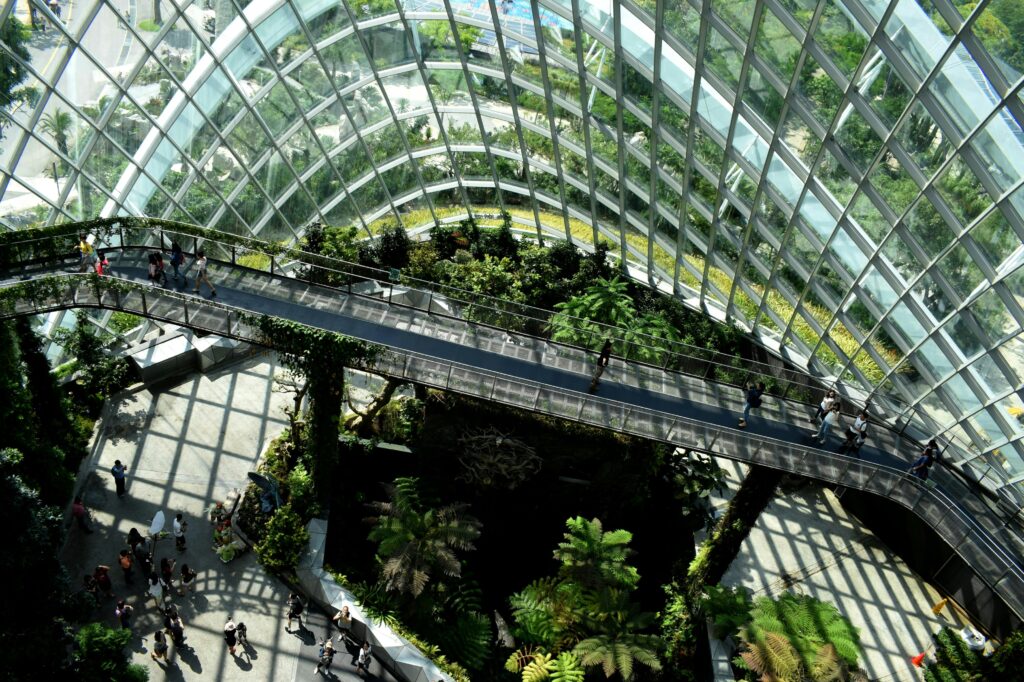 Gläsernes Gebäude von innen aus der Vogelperspektive, gefüllt mit vielen grünen Pflanzen.